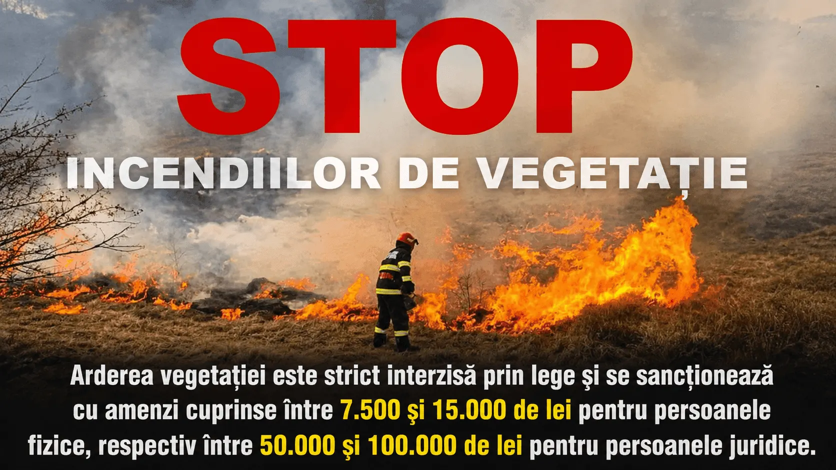 Teleorman: 36 de incendii de vegetație uscată în 72 de ore